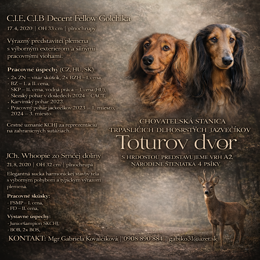 Jazvecik trp.kr. dlhosrsty s PP