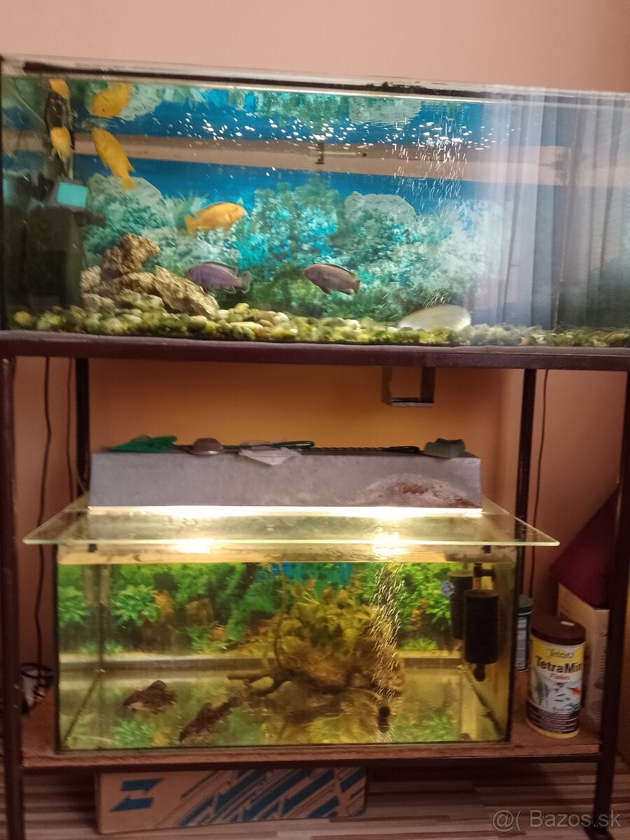 Akvarium