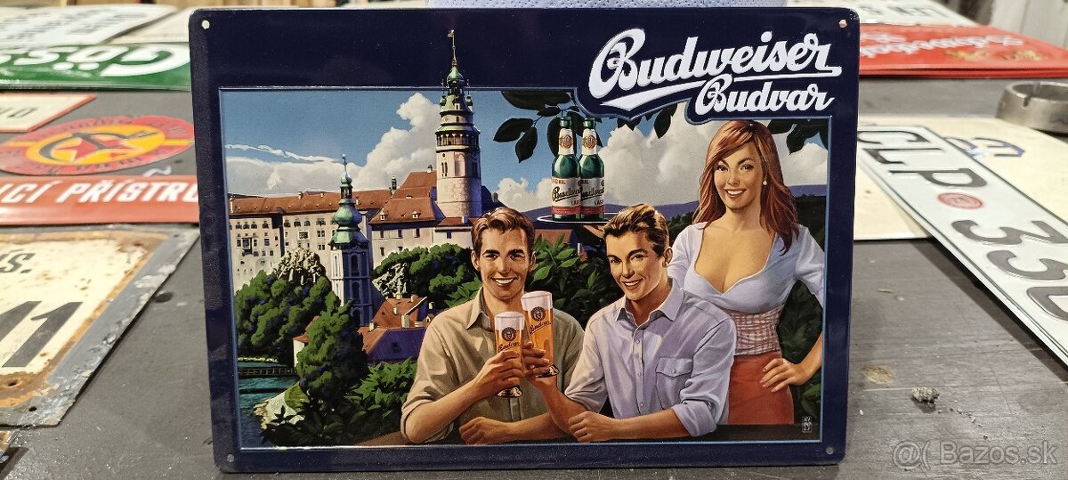 Cedula 3,tabula,plech