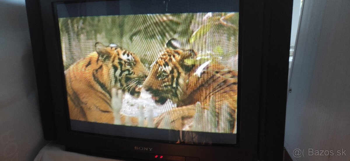 Sony TrinitronKV 25E