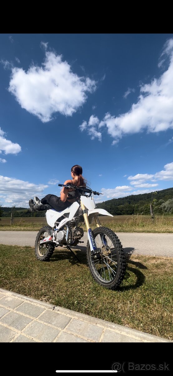 Pitbike UpBeat 140cc