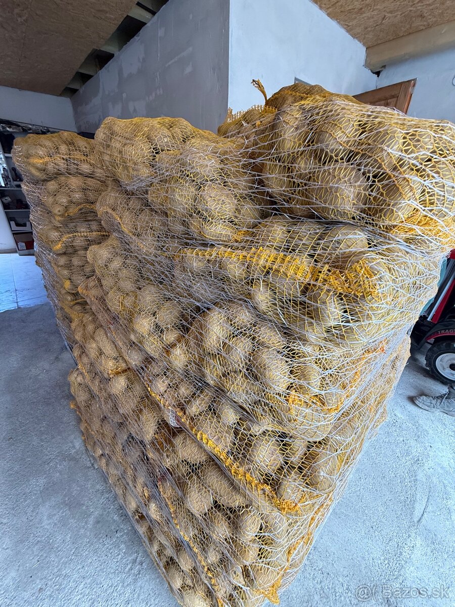 Predám zemiaky – výborná kvalita, 15 kg len za 2,40 € 🥔