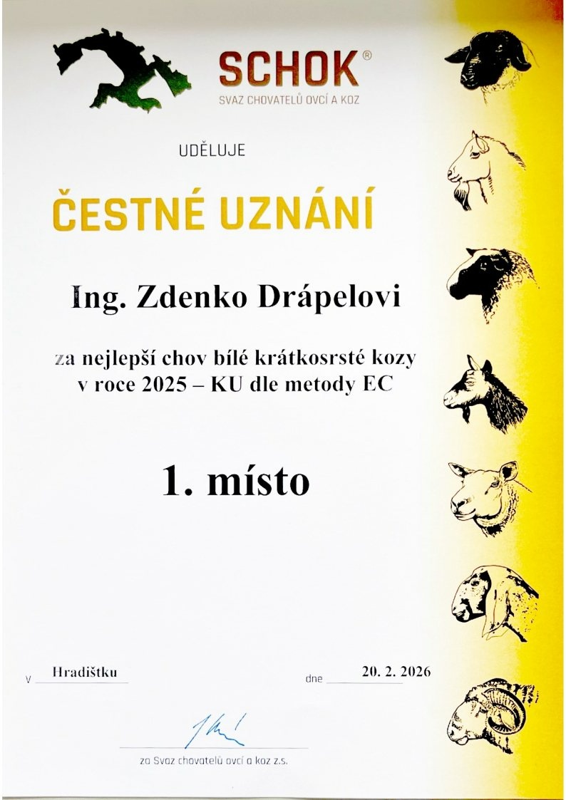Česká bílá krátkosrstá koza.