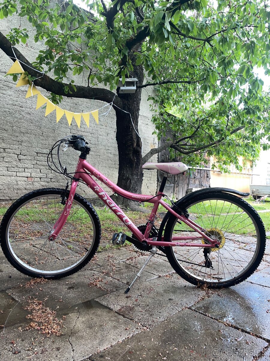 Bicykel