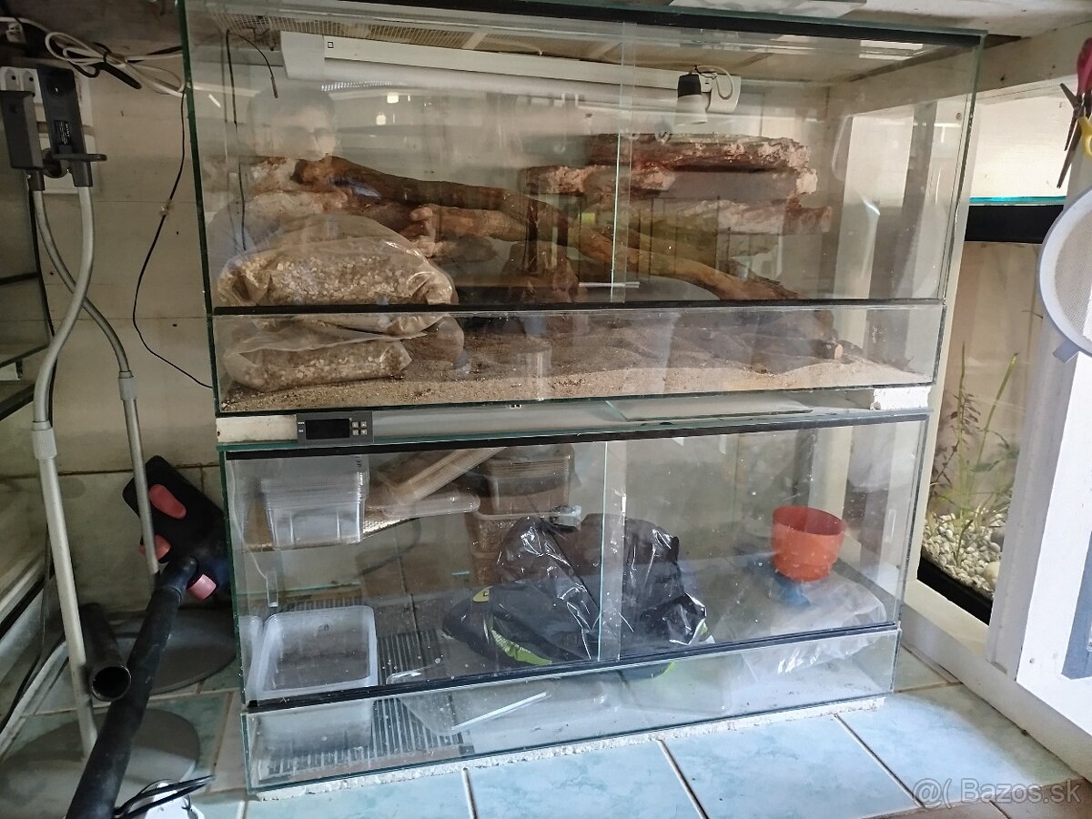 Terarium