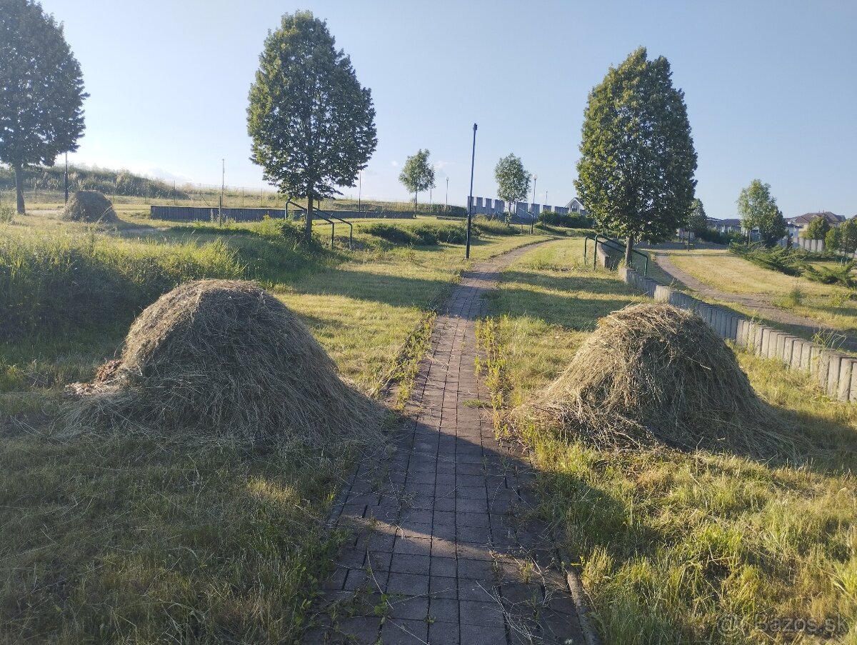 Seno v BIO kvalite z kvetnatej lúky vo Zvolene