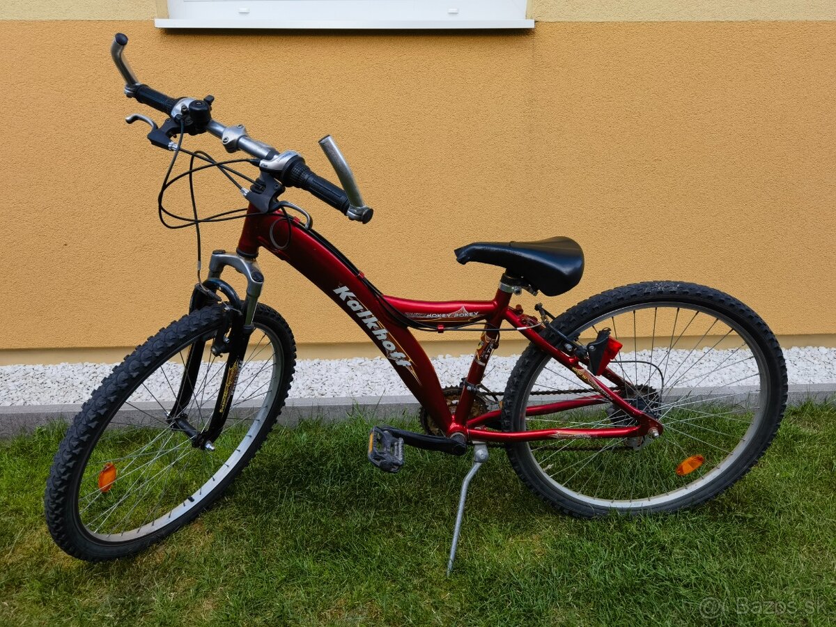 Horský bicykel,