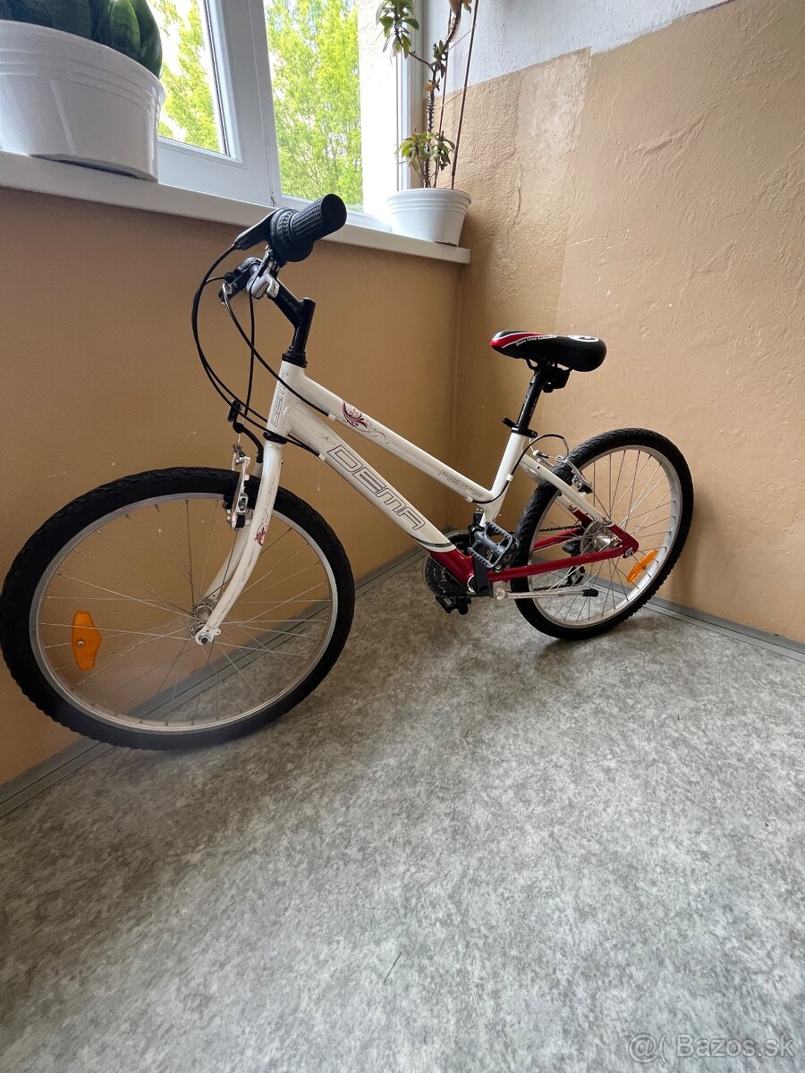 Detský bicykel Dema Pegas