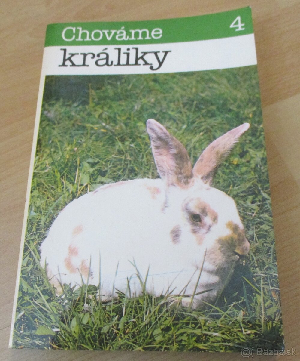 Chováme králiky - 4