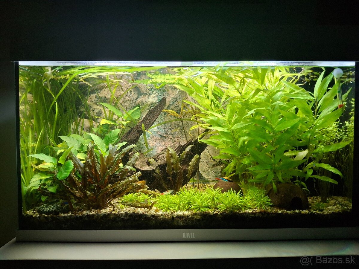 Predám akvárium juwel rio 125 + CO2 set