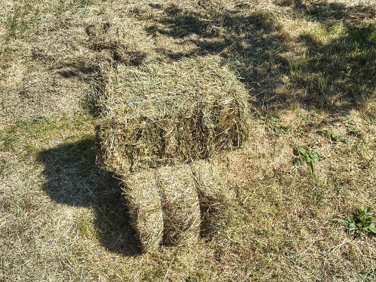 Predám kvalitné seno nová úroda