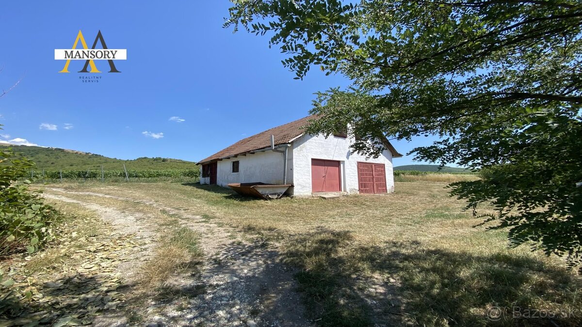 Na predaj vínny dom s vinicami a vínnymi pivnicami 13974 m2