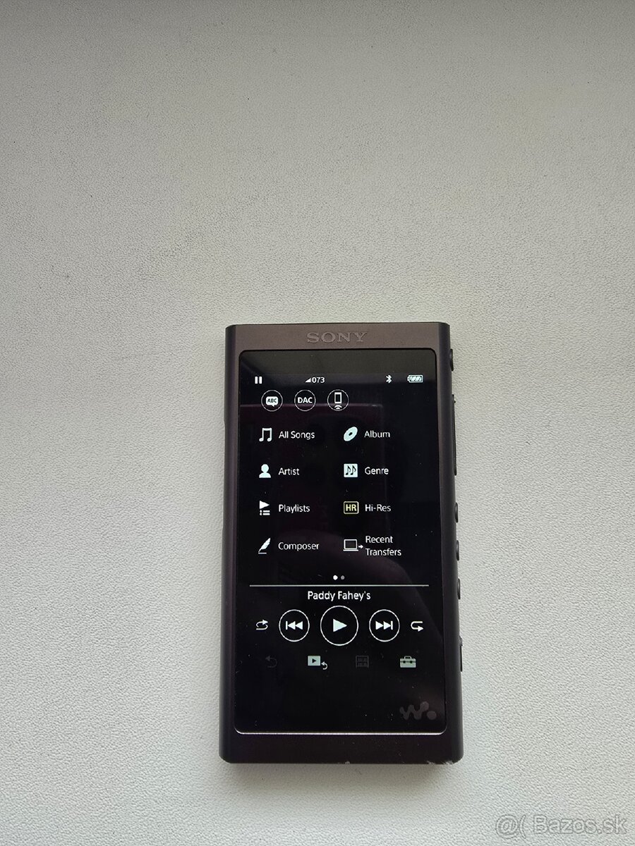 Sony Walkman nw-a55l