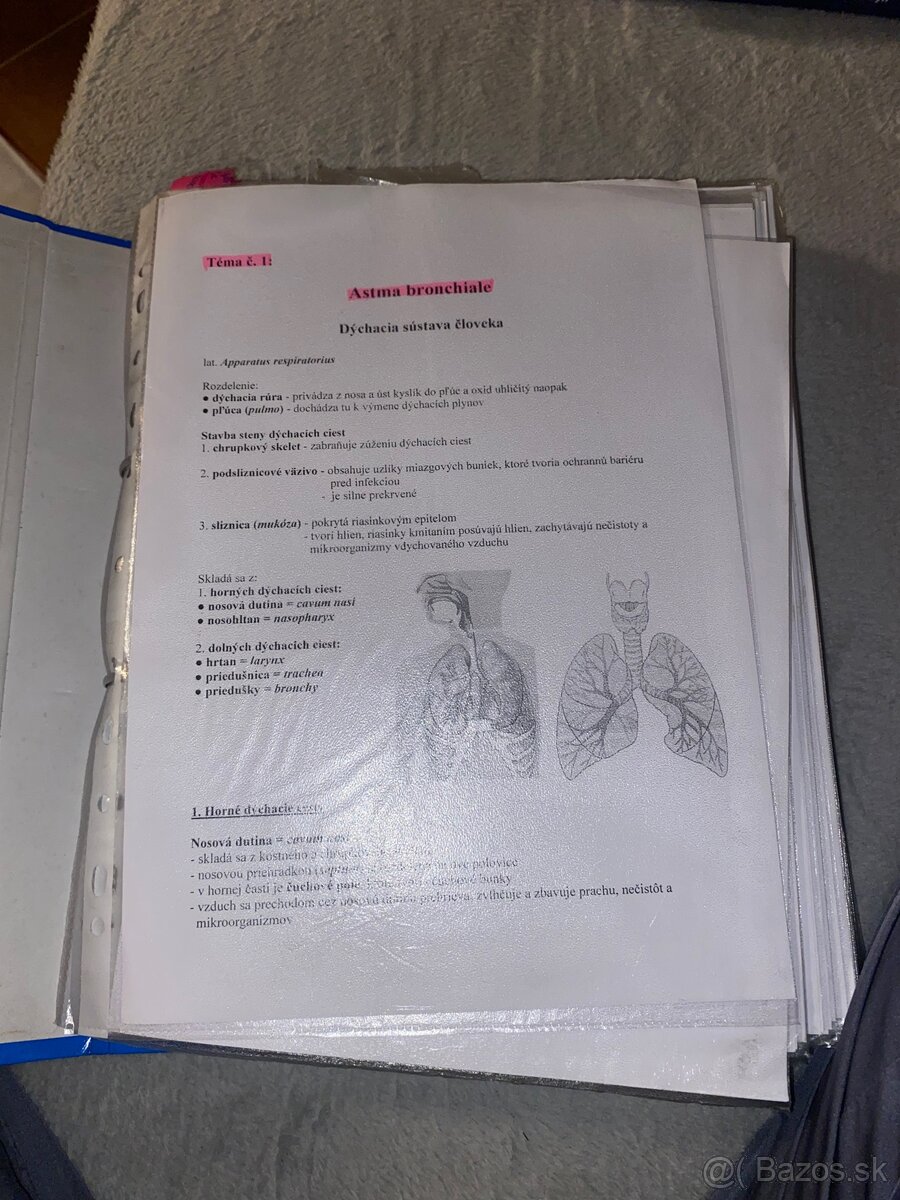 Spracované témy zo Zdravia a kliniky chorôb