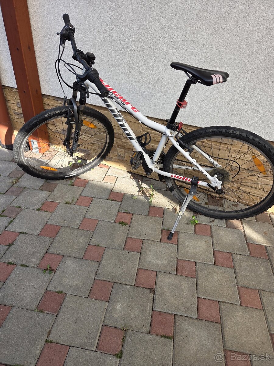 Bicykle