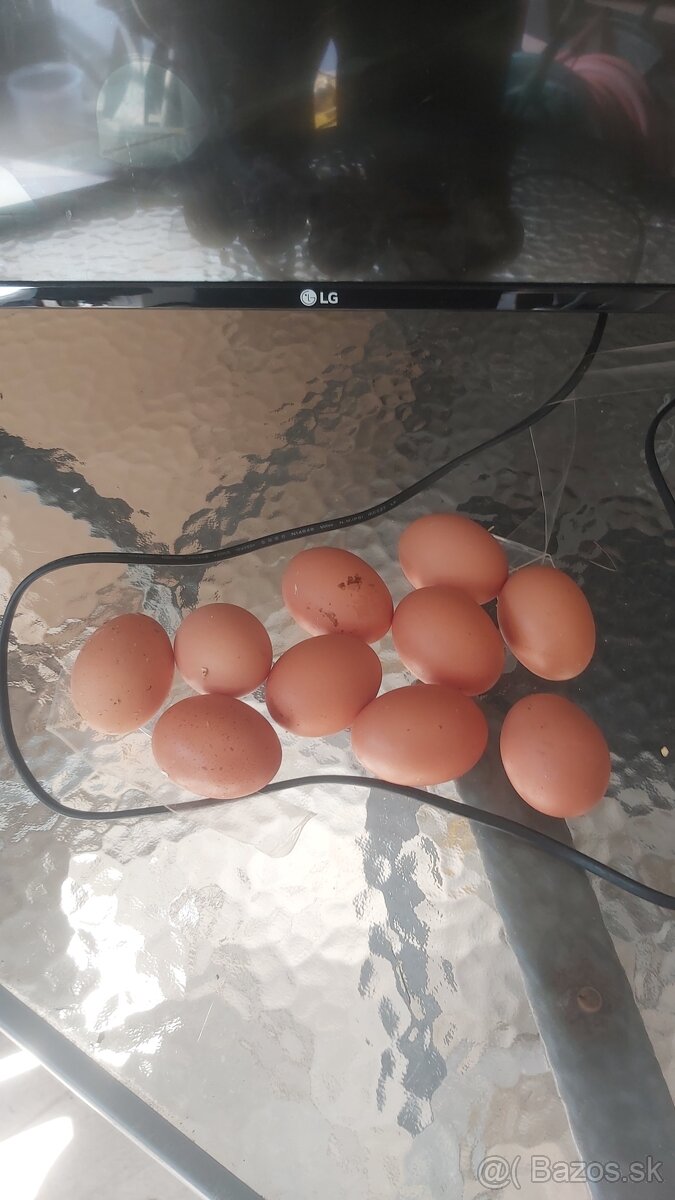 Domace vajicka