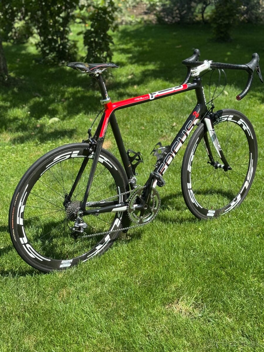 Focus Cayo carbon
