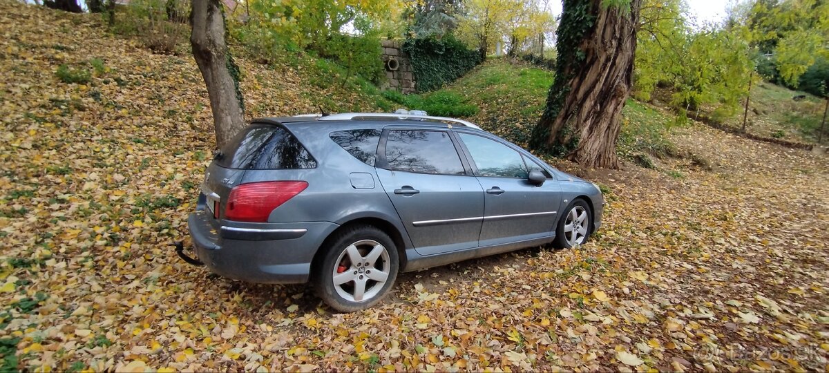 Peugeot 407 SW 2.0 HDi