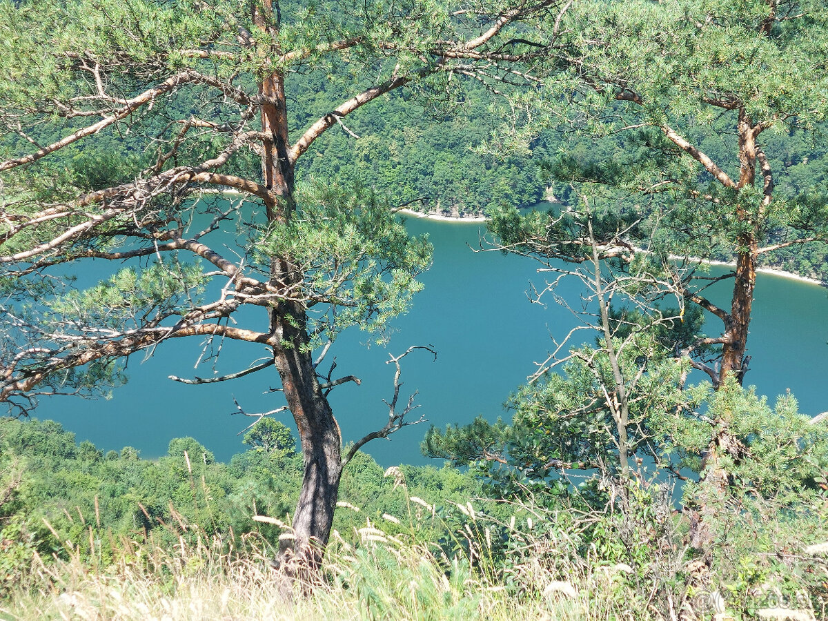 Rekreačný  pozemok  VN Ruźin, 196 m2