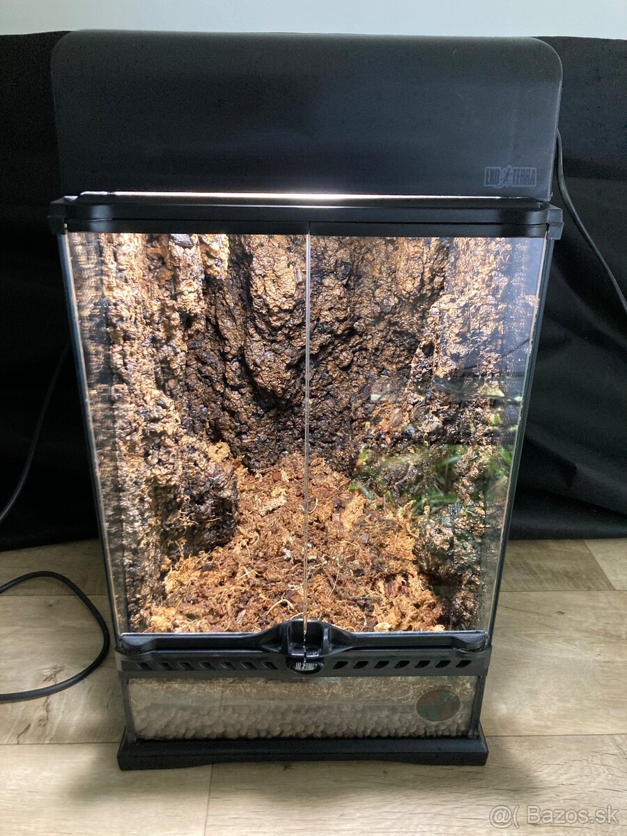 Terarium ExoTerra 30x30x45 + Compact Top Canopy 30