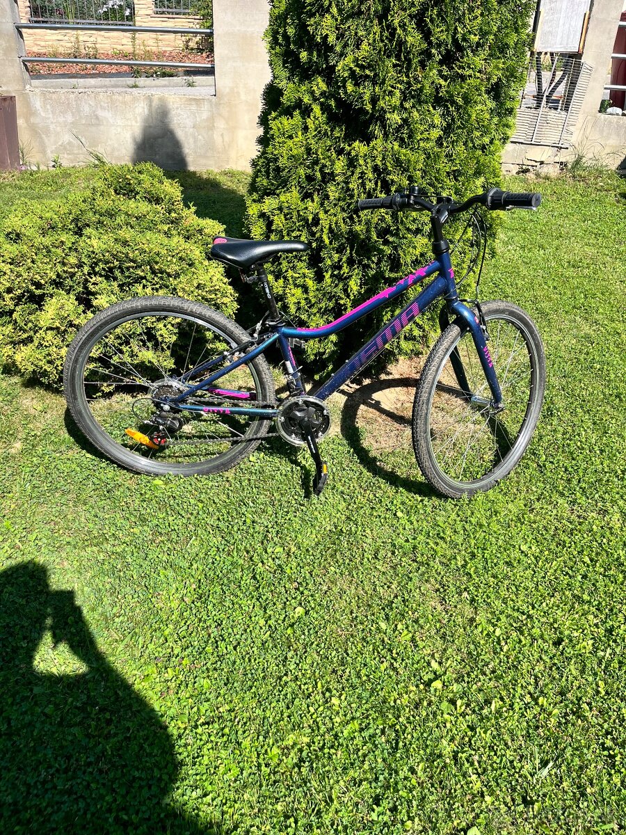 Dena velkost 26