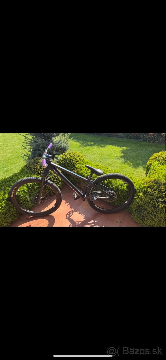 DIRT ROSE the BRUCE 26 Zoll