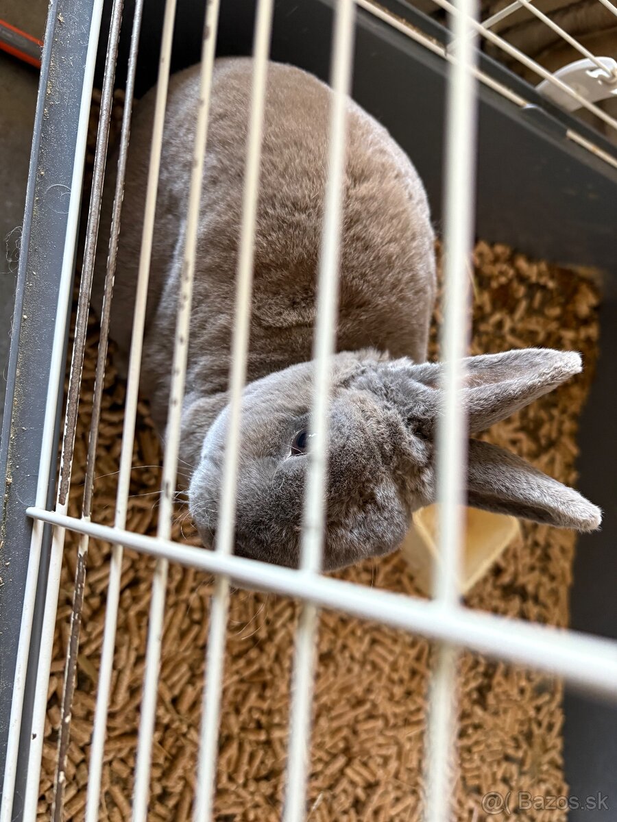 Klietka pre králika