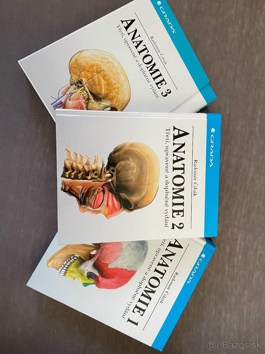Anatómia čihák 1,2,3