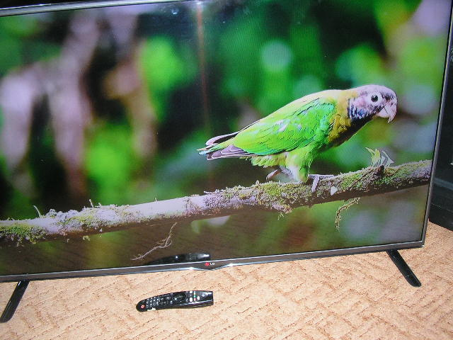 Predam LED televizor