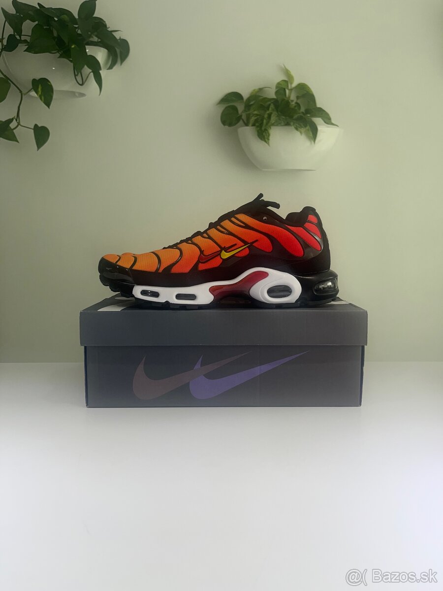Nike Air Max Plus - Sunset Patta 2024