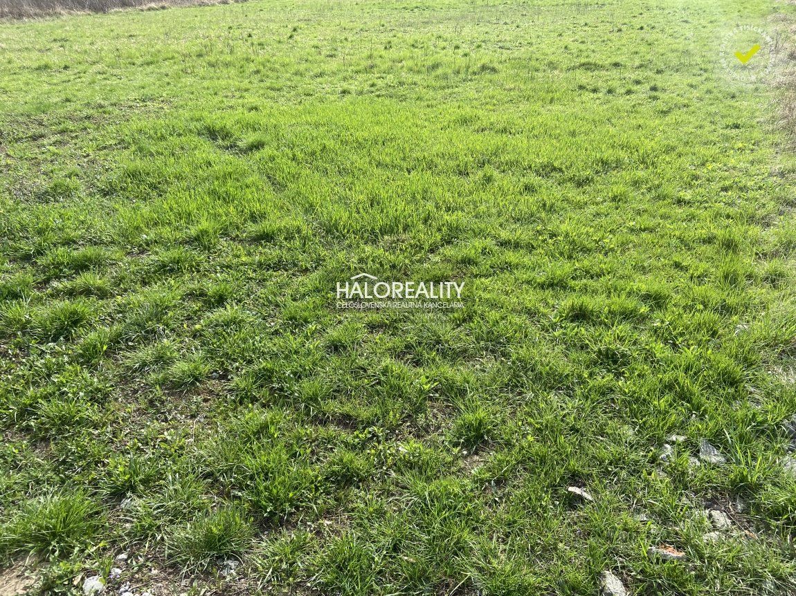 HALO reality - Predaj, pozemok pre rodinný dom 900 m2 Hani