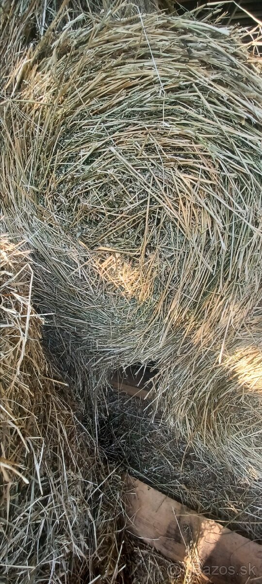 Lucerka