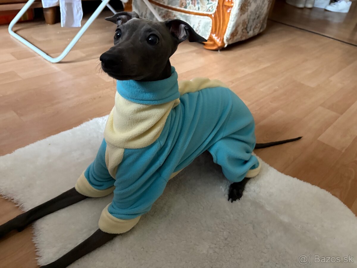 Šijem oblečenie pre psíkov