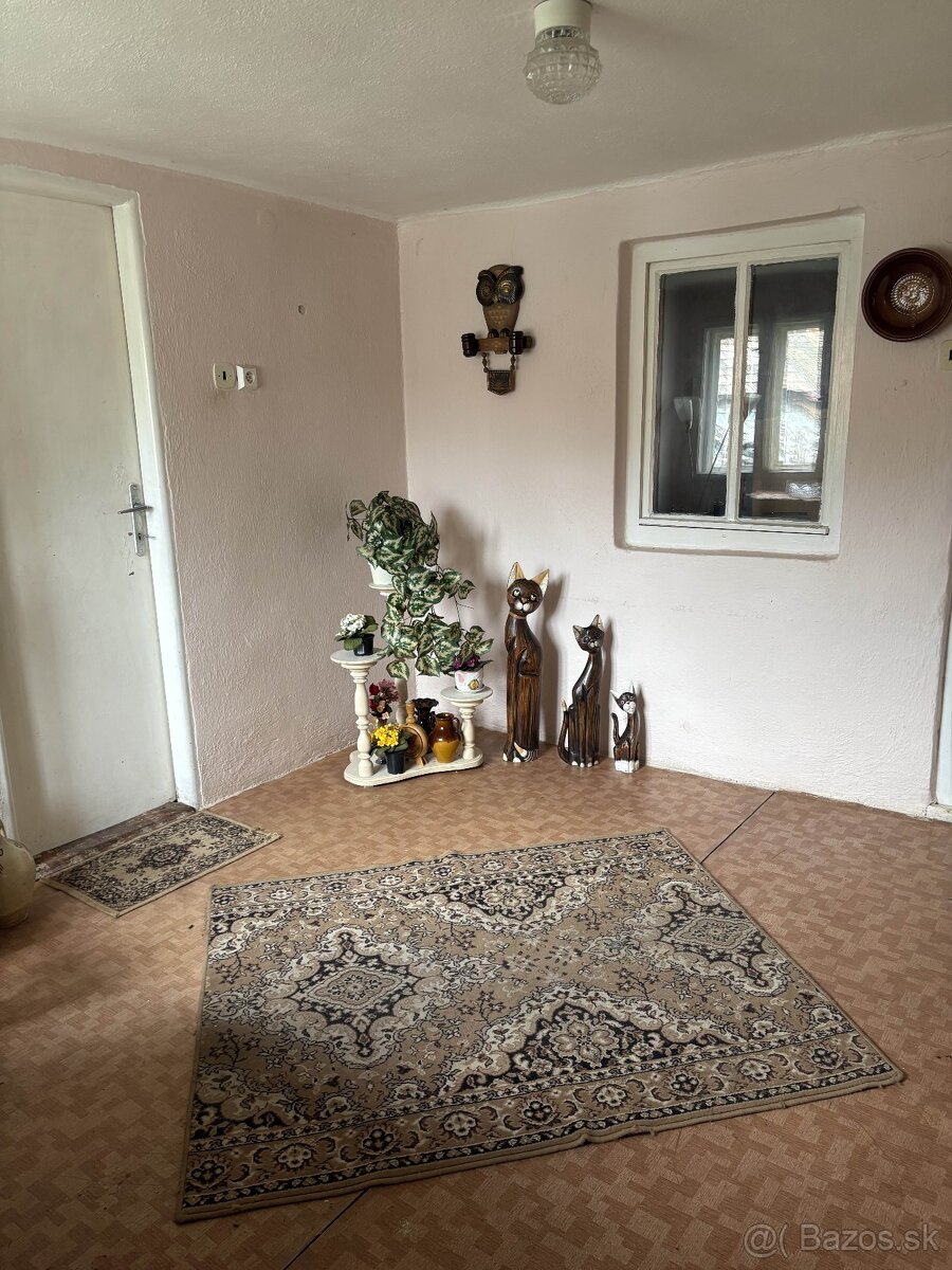 Rodinný dom (Budiná lazy)