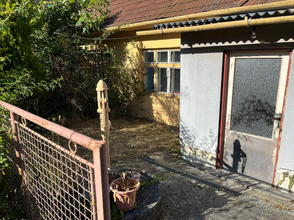 DOMČEK a POZEMOK 732 m2 + SAD 686 m2 RUDNÍK KOPANICE- MYJAVA