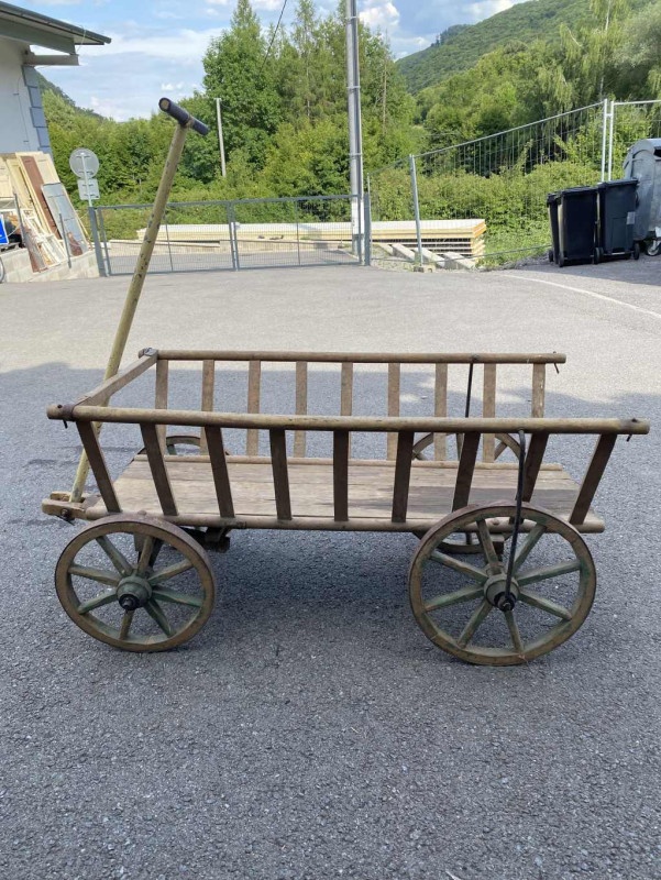 Menší rebriňák