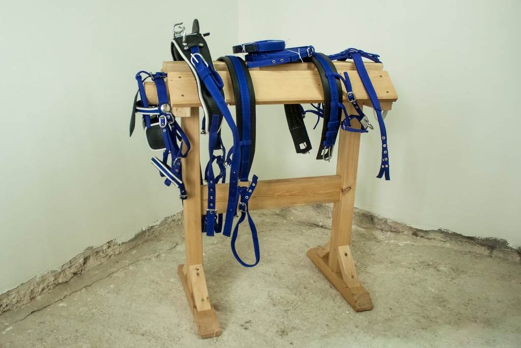 Poprsný nylonový postroj pre koňa modrý SHETLAND