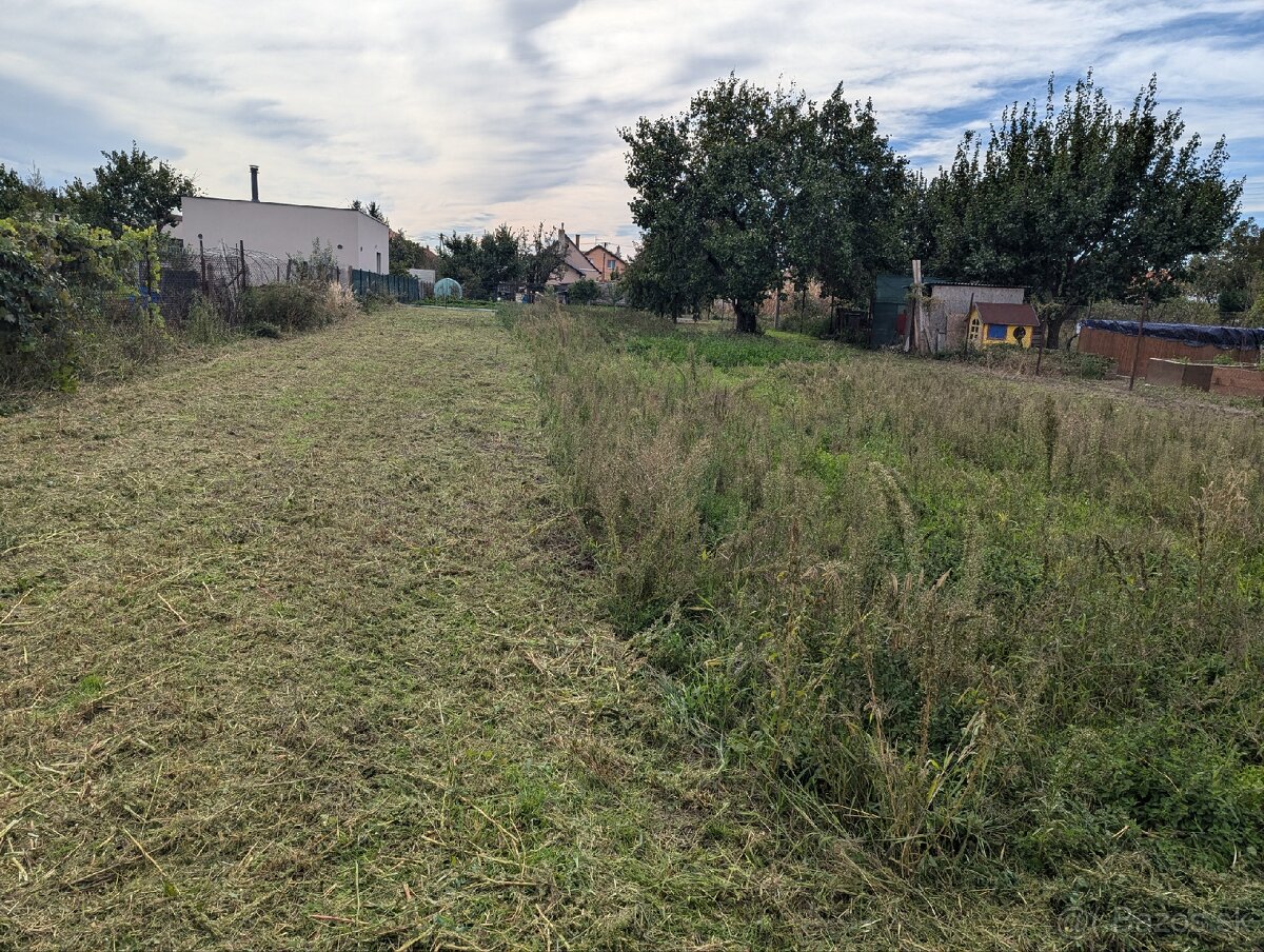 Kosenie, mulcovanie, údržba pozemkov