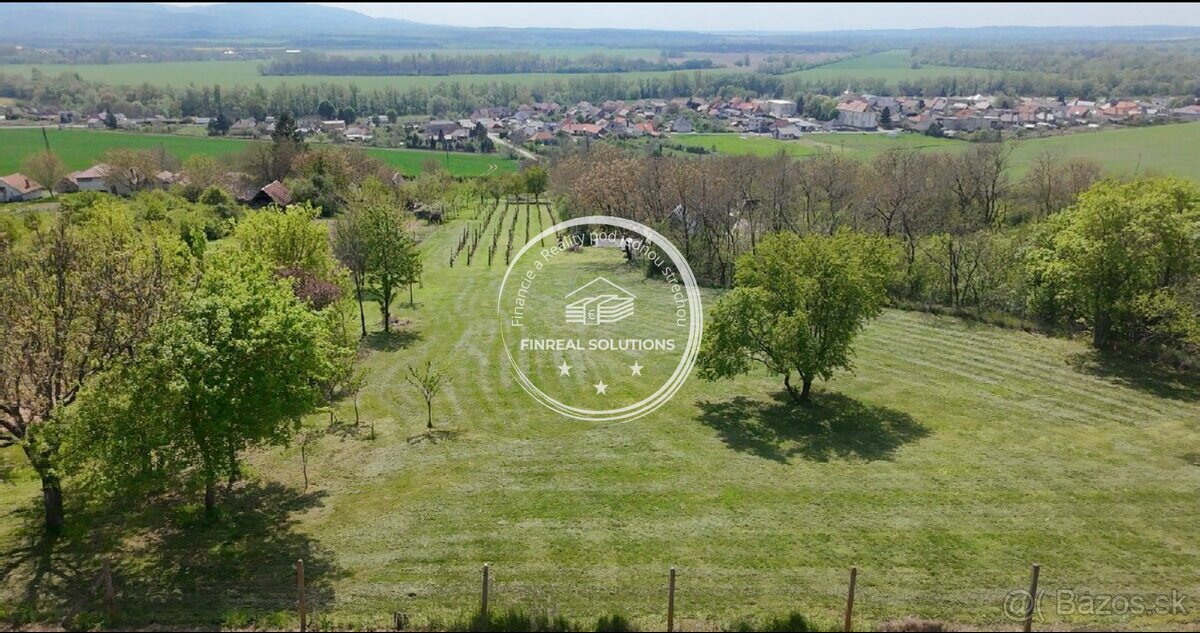Krásna vinica a ovocný sad v Hrkovciach