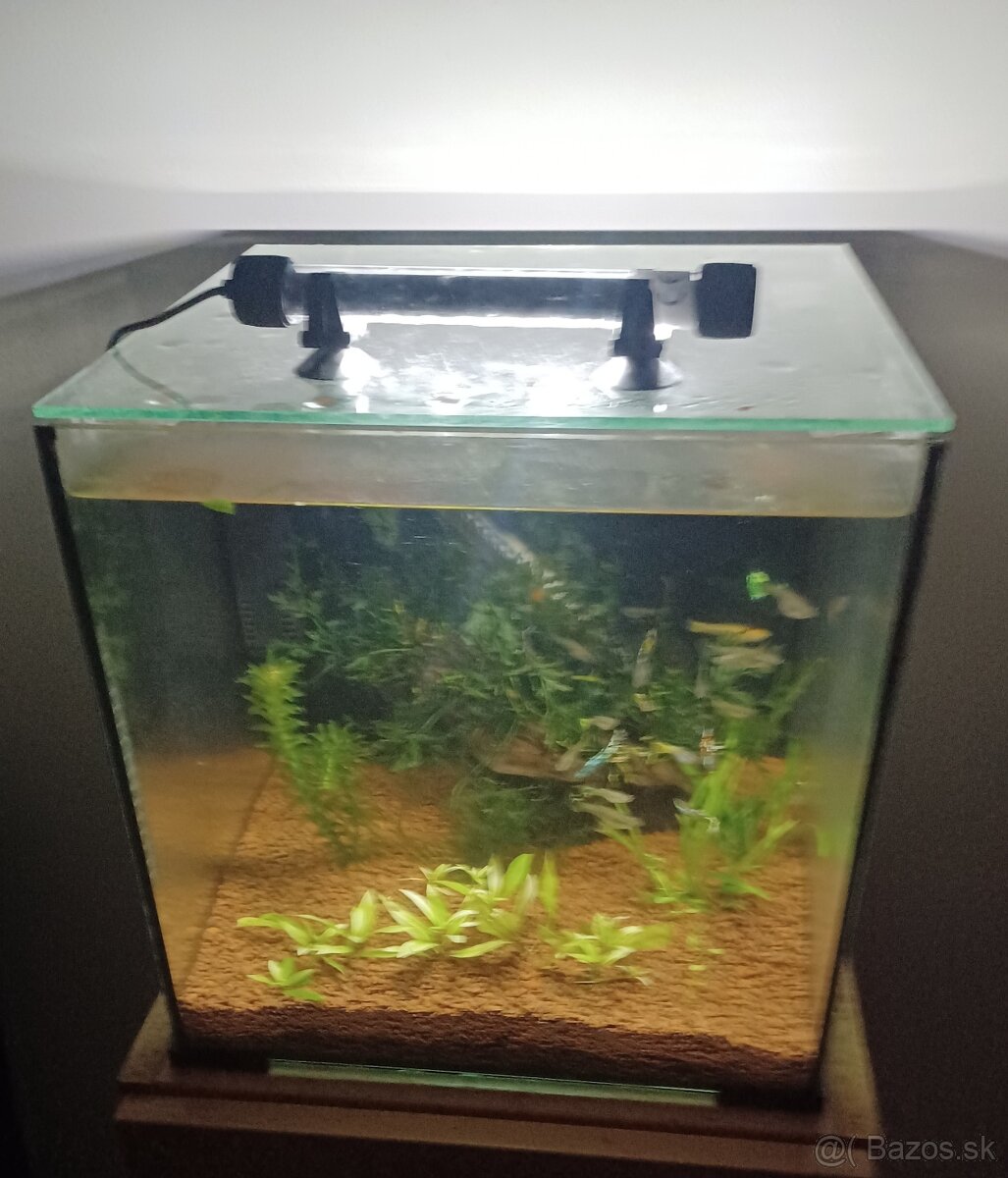 Akvarium 30x30x30cm