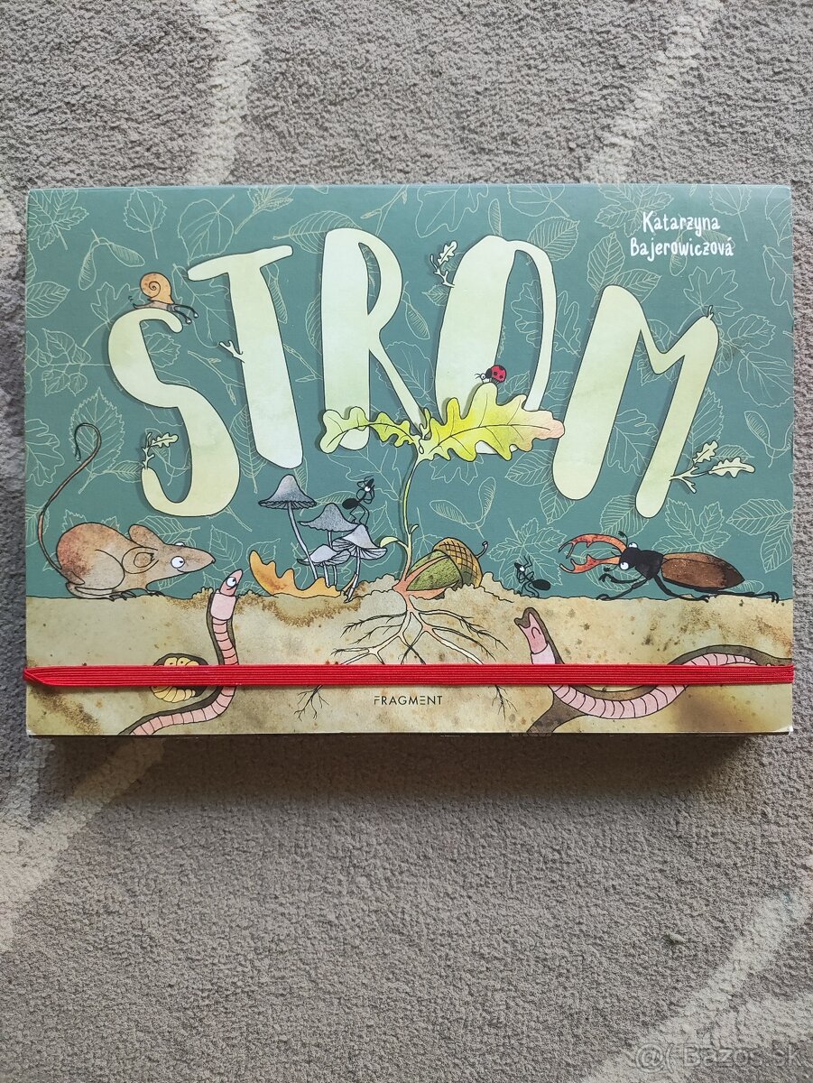 Strom (Katarzyna Bajerowiczová)