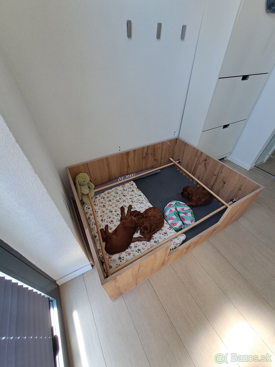 Pôrodný box pre psy