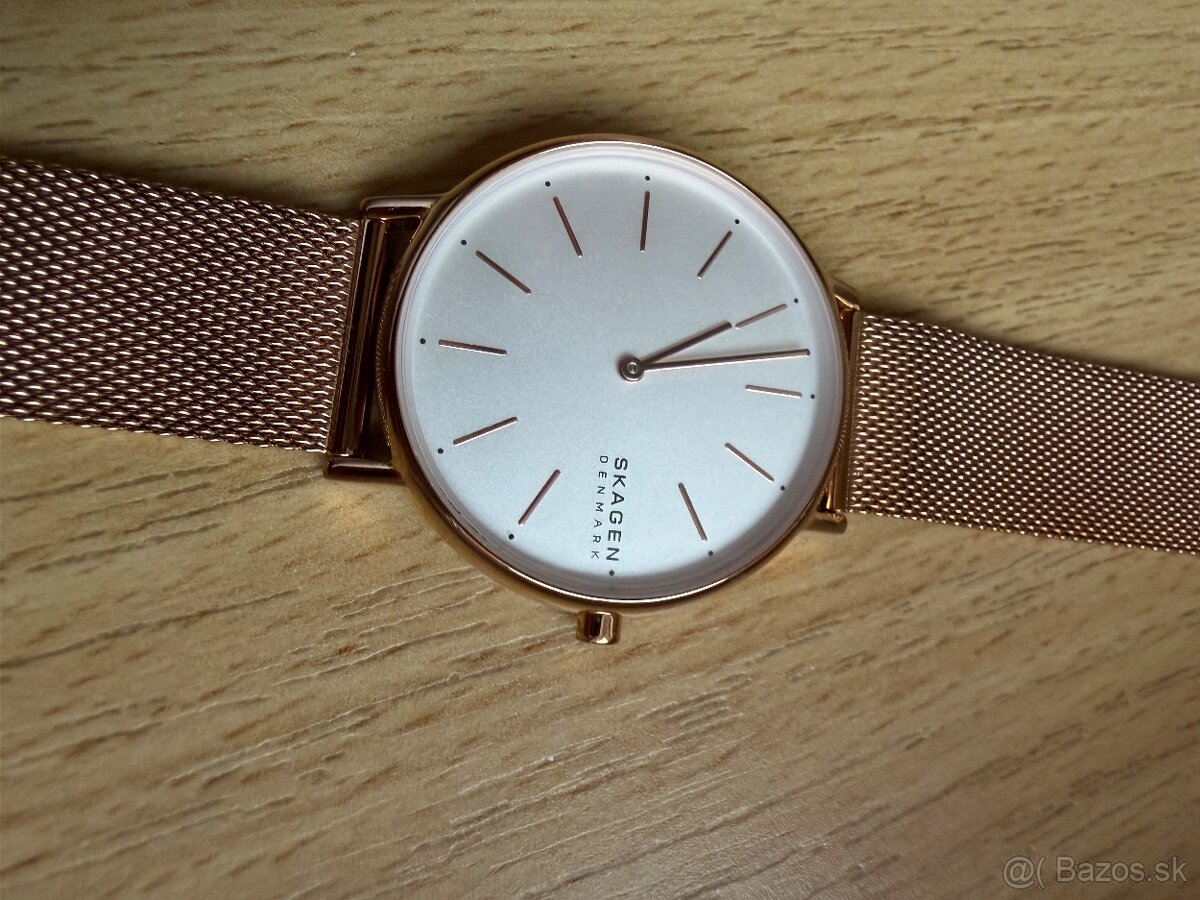 Skagen hodinky