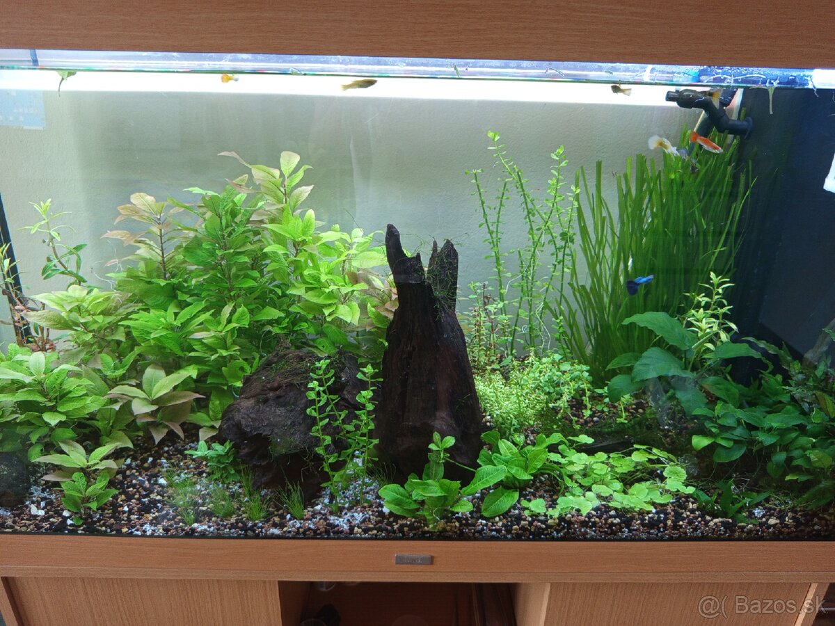 Predám akvárium