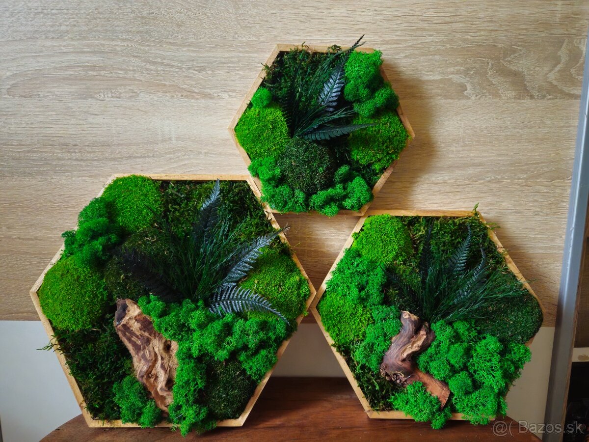 Machový obraz hexagón na mieru