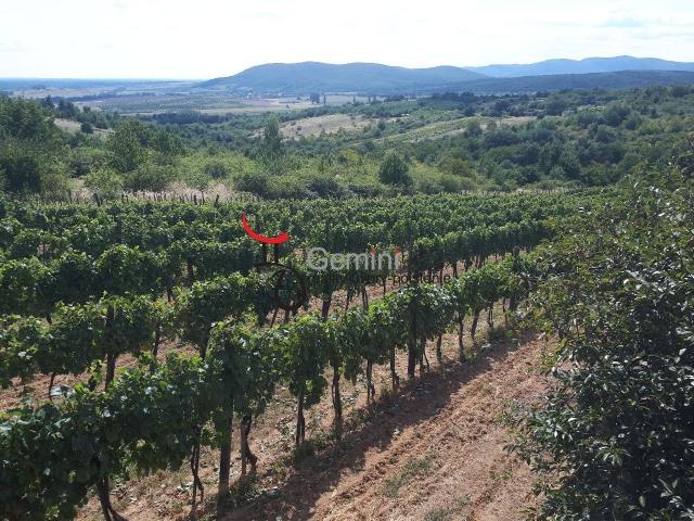 GEMINIBROKER Vám ponúka na predaj chatu s viničom a ovocným