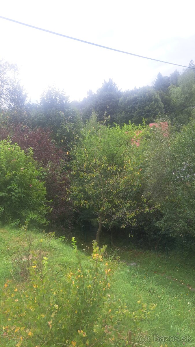 Predám pozemok v spoluvlastníctve.