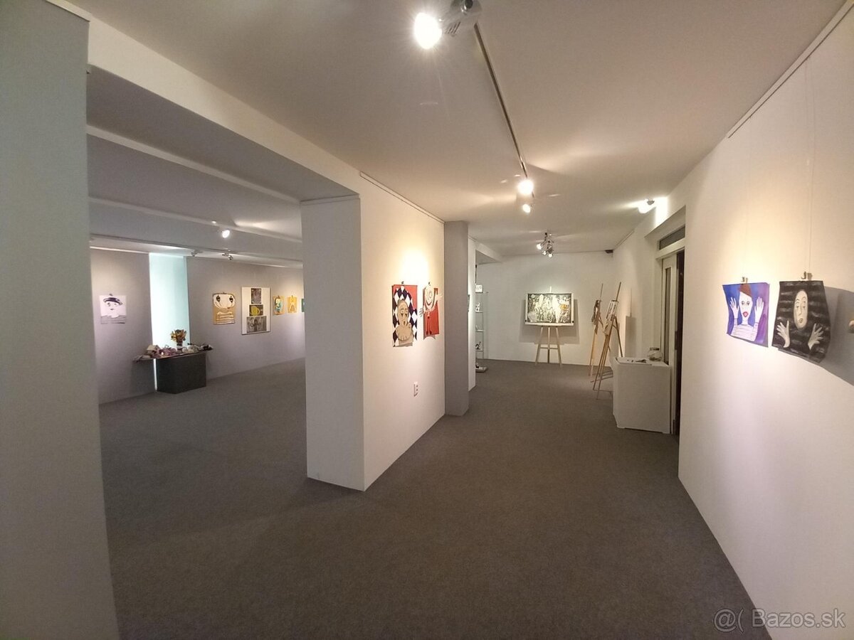 Obchodný priestor v centre PB