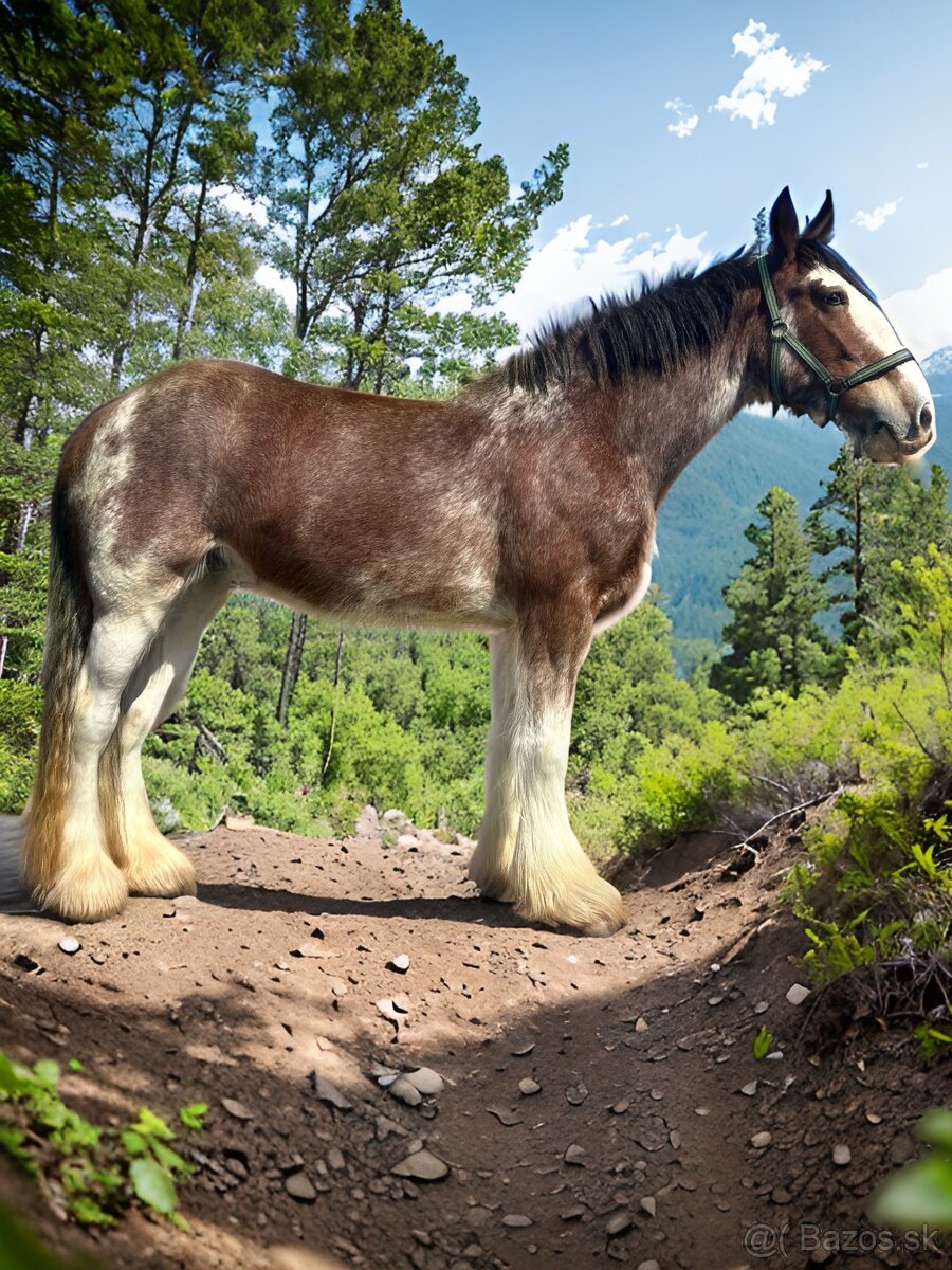Clydesdale , Shire