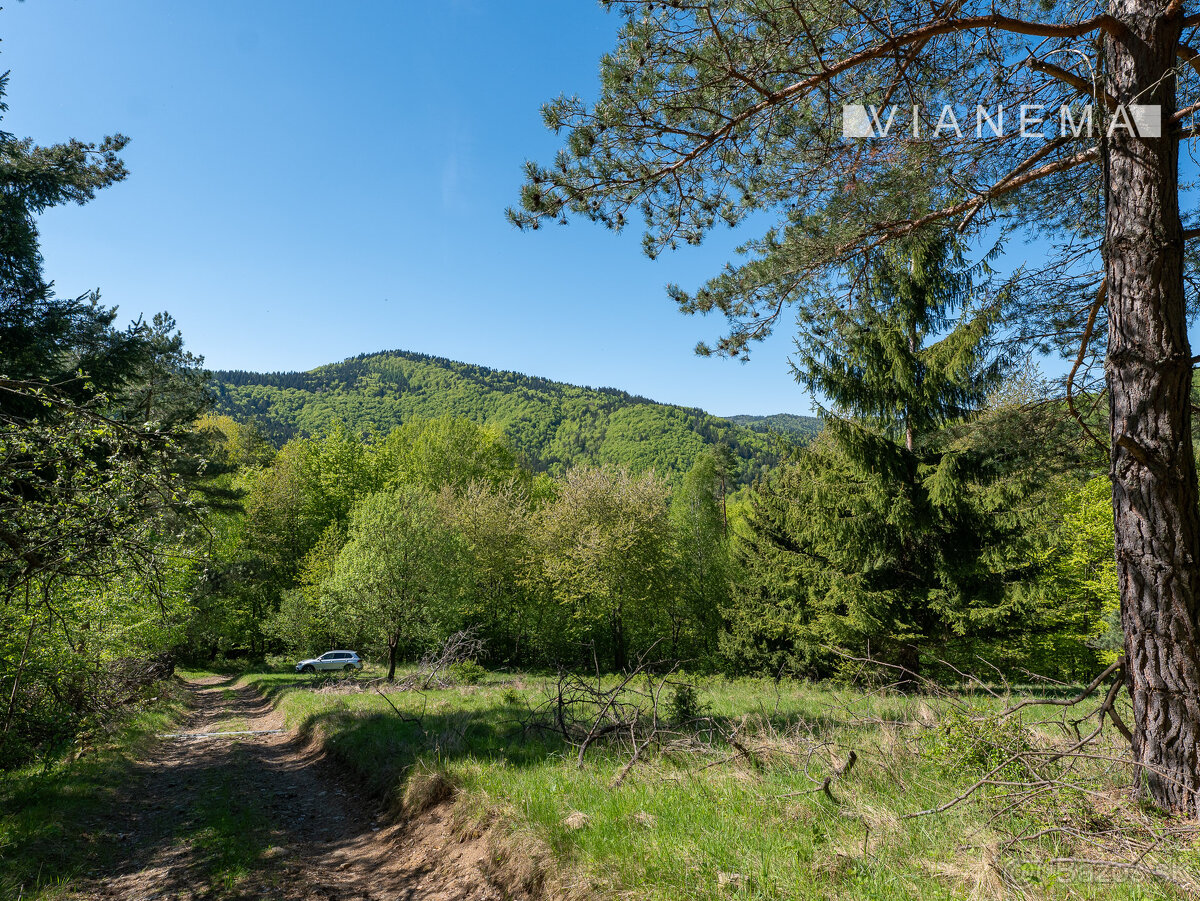 IBA U NÁS Pozemok na samote v lese - Lazy pod Makytou